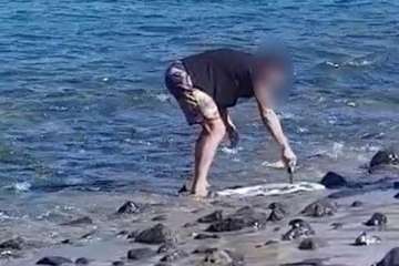 Un pescador submarino caza con fusil una especie protegida y la destripa a la vista de todos en Aguadulce/TA.